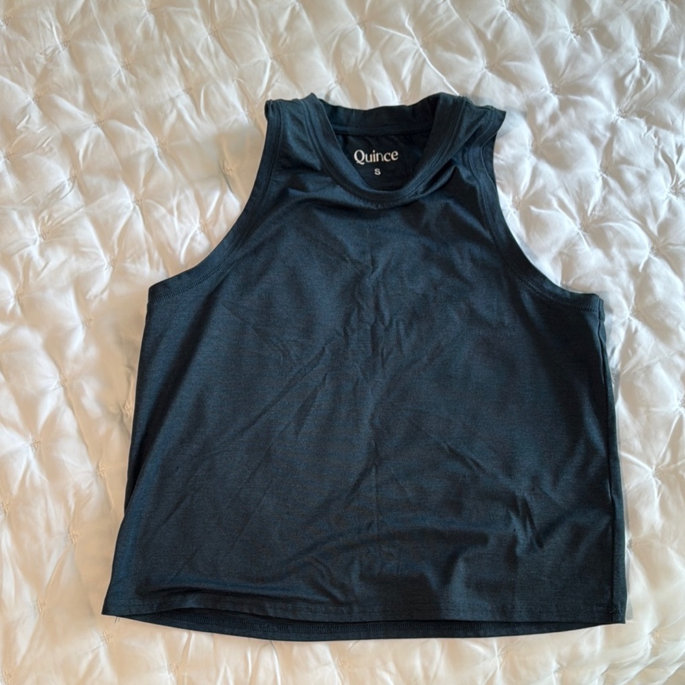 Quince Blue workout crop Top